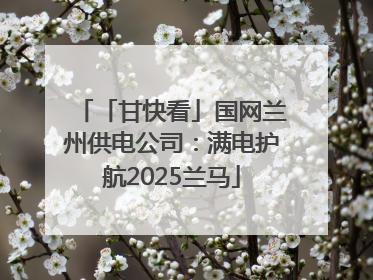 「甘快看」国网兰州供电公司：满电护航2025兰马
