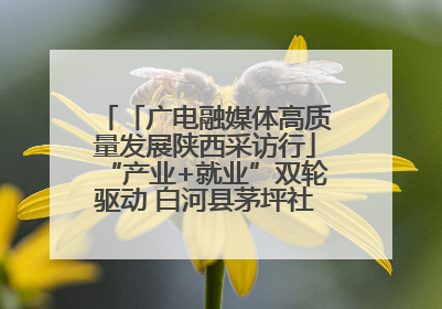 「广电融媒体高质量发展陕西采访行」“产业+就业”双轮驱动 白河县茅坪社区打造易地搬迁后扶新样本