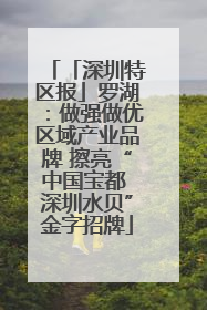 「深圳特区报」罗湖：做强做优区域产业品牌 擦亮“中国宝都 深圳水贝”金字招牌