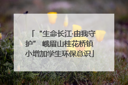 “生命长江·由我守护” 峨眉山桂花桥镇小增加学生环保意识
