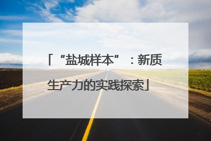 “盐城样本”：新质生产力的实践探索