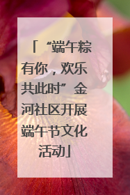 “端午粽有你，欢乐共此时”金河社区开展端午节文化活动