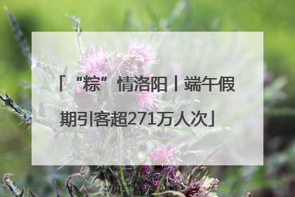“粽”情洛阳丨端午假期引客超271万人次
