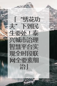 “绣花功夫”下到民生要处！泰兴城市治理智慧平台实现全时段联网全要素细治