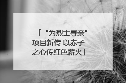 “为烈士寻亲”项目新传 以赤子之心传红色薪火