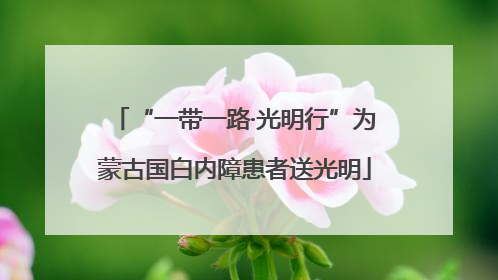 “一带一路·光明行”为蒙古国白内障患者送光明