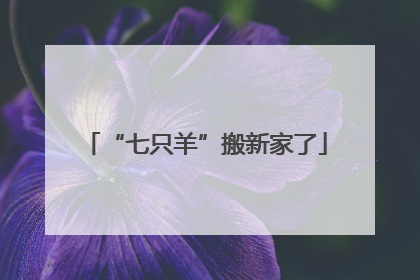 “七只羊”搬新家了