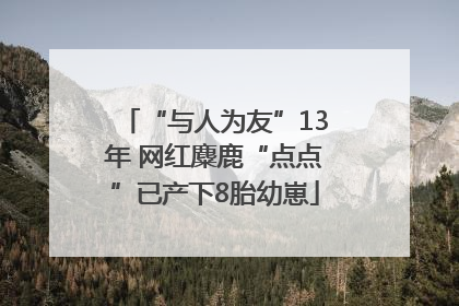 “与人为友”13年 网红麋鹿“点点”已产下8胎幼崽