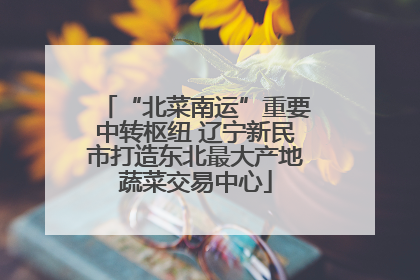 “北菜南运”重要中转枢纽 辽宁新民市打造东北最大产地蔬菜交易中心