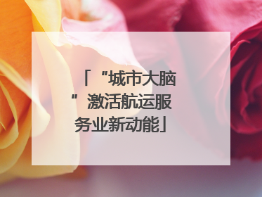 “城市大脑”激活航运服务业新动能