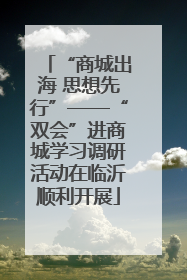 “商城出海 思想先行”——“双会”进商城学习调研活动在临沂顺利开展