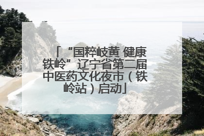 “国粹岐黄 健康铁岭”辽宁省第二届中医药文化夜市（铁岭站）启动