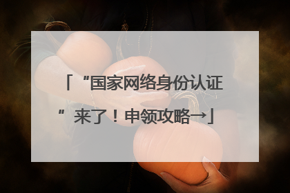 “国家网络身份认证”来了！申领攻略→