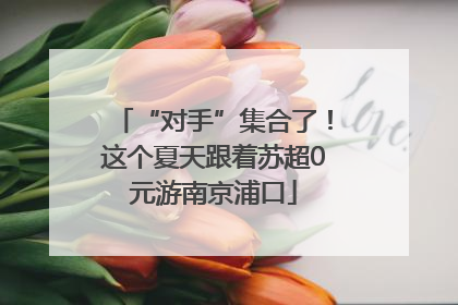 “对手”集合了！这个夏天跟着苏超0元游南京浦口