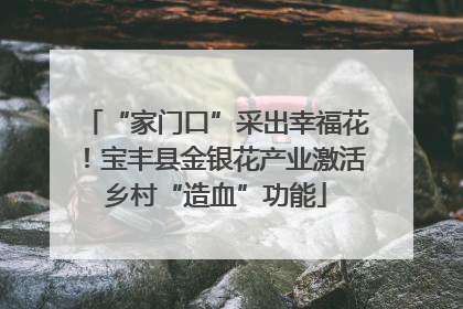 “家门口”采出幸福花！宝丰县金银花产业激活乡村“造血”功能