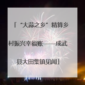 “大蒜之乡”精算乡村振兴幸福账——成武县大田集镇见闻