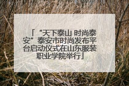 “天下泰山 时尚泰安”泰安市时尚发布平台启动仪式在山东服装职业学院举行