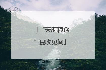 “天府粮仓”夏收见闻
