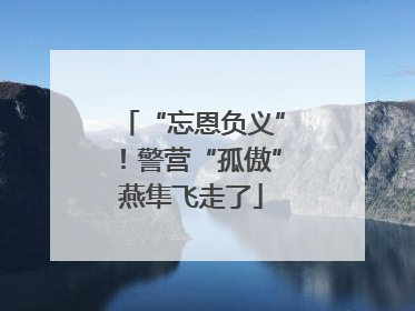 “忘恩负义”！警营“孤傲”燕隼飞走了