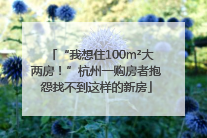 “我想住100m²大两房！”杭州一购房者抱怨找不到这样的新房