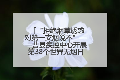 “拒绝烟草诱惑 对第一支烟说不”——曹县疾控中心开展第38个世界无烟日科普宣传活动