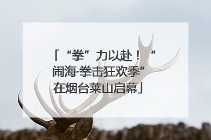 “拳”力以赴！“闹海·拳击狂欢季”在烟台莱山启幕