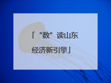 “数”读山东经济新引擎