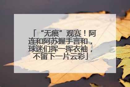 “无痕”观赛！阿连和阿苏握手言和，球迷们挥一挥衣袖，不留下一片云彩