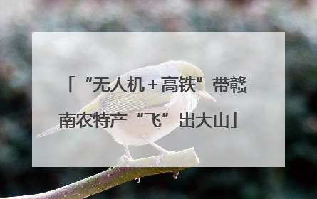 “无人机＋高铁”带赣南农特产“飞”出大山