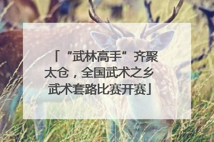“武林高手”齐聚太仓，全国武术之乡武术套路比赛开赛