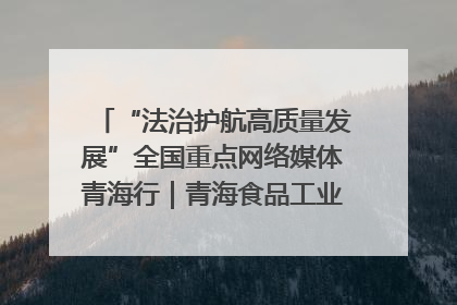 “法治护航高质量发展”全国重点网络媒体青海行｜青海食品工业协会：架起“青字号”美食的产业化桥梁