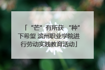 “芒”有所获 “种”下希望 滨州职业学院进行劳动实践教育活动
