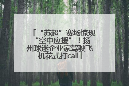 “苏超”赛场惊现 “空中应援”！扬州球迷企业家驾驶飞机花式打call