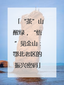 “茶”山醒绿，“悟”见金山：鄂北老区的振兴密码