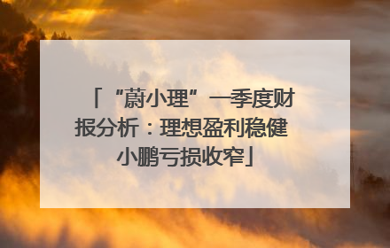 “蔚小理”一季度财报分析：理想盈利稳健 小鹏亏损收窄
