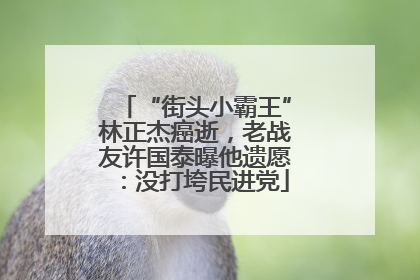 “街头小霸王”林正杰癌逝，老战友许国泰曝他遗愿：没打垮民进党