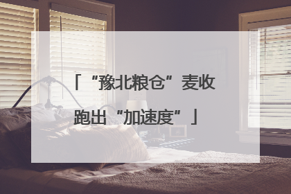 “豫北粮仓”麦收跑出“加速度”