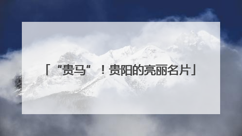 “贵马”！贵阳的亮丽名片