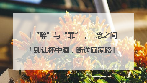 “醉”与“罪”，一念之间！别让杯中酒，断送回家路