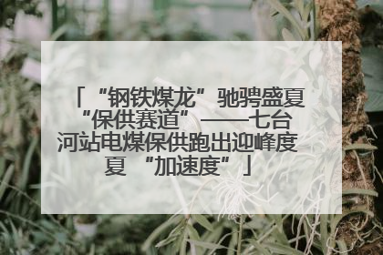 “钢铁煤龙”驰骋盛夏 “保供赛道”——七台河站电煤保供跑出迎峰度夏 “加速度”
