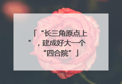 “长三角原点上”，建成好大一个“四合院”