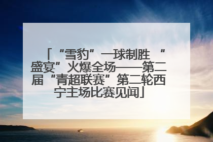 “雪豹”一球制胜 “盛宴”火爆全场——第二届“青超联赛”第二轮西宁主场比赛见闻