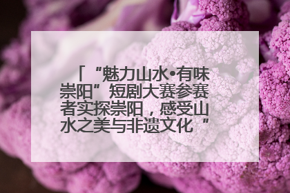 “魅力山水•有味崇阳”短剧大赛参赛者实探崇阳，感受山水之美与非遗文化“提琴戏”魅力
