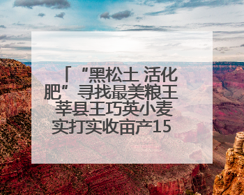“黑松土 活化肥”寻找最美粮王 莘县王巧英小麦实打实收亩产1515.4斤 超对照田144斤！