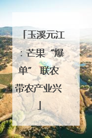 玉溪元江：芒果“爆单” 联农带农产业兴