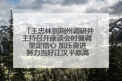 王忠林到荆州调研并主持召开座谈会时强调 坚定信心 加压奋进 努力当好江汉平原高质量发展排头兵