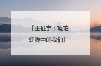 王征宇：琥珀虹膜中的我们
