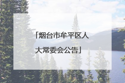 烟台市牟平区人大常委会公告