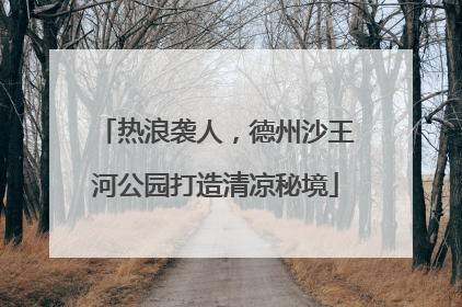 热浪袭人，德州沙王河公园打造清凉秘境