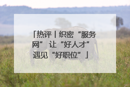 热评丨织密“服务网” 让“好人才”遇见“好职位”